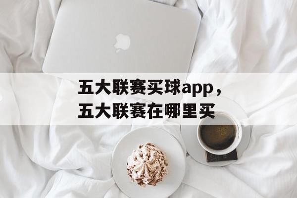 五大联赛买球app，五大联赛在哪里买